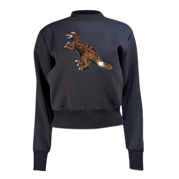 Noli Black W/ Sequin Patch Crewneck
Sweatshirt Dinosaur Size Small - Picture 1 of 12